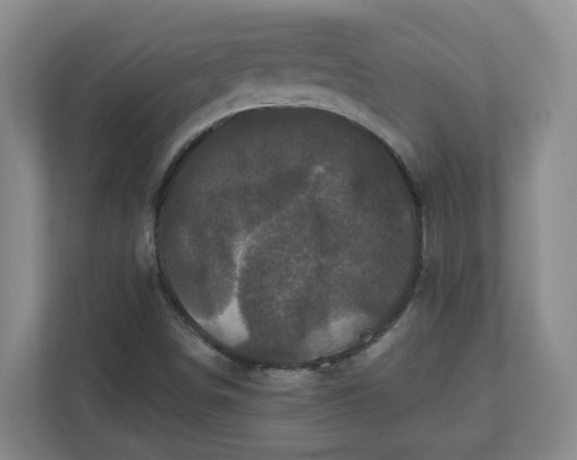 X0000111161498200907071118