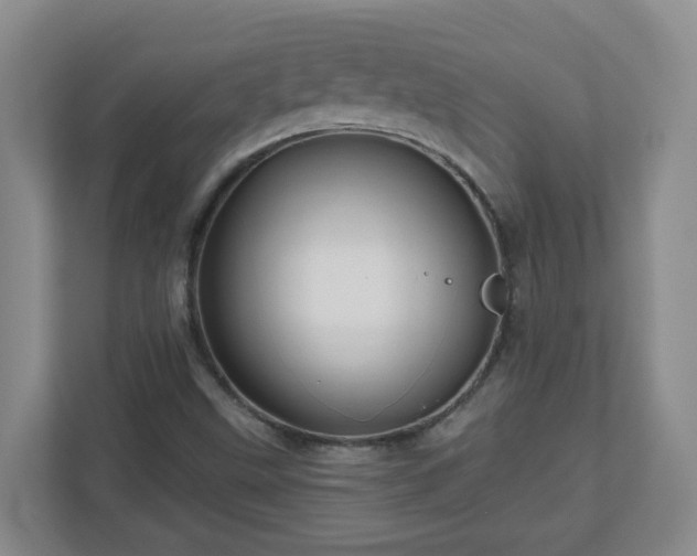 X0000111161499200907071118