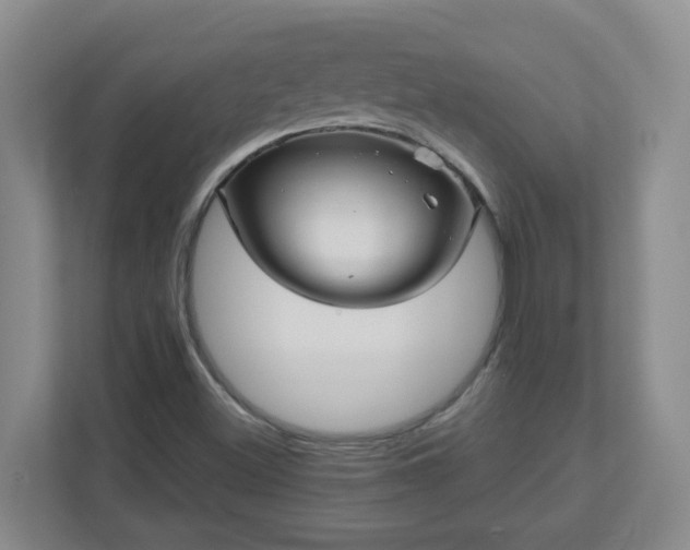 X0000111161500200907071118