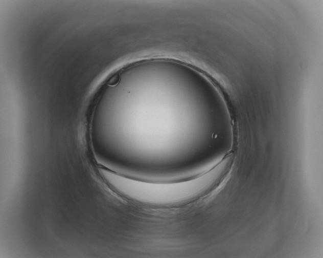 X0000111161502200907071118