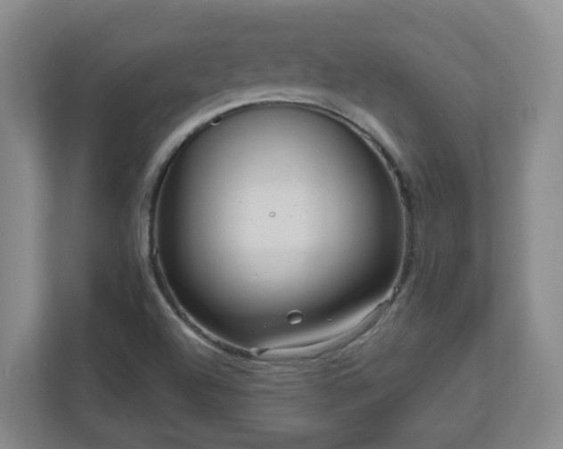 X0000111161504200907071118