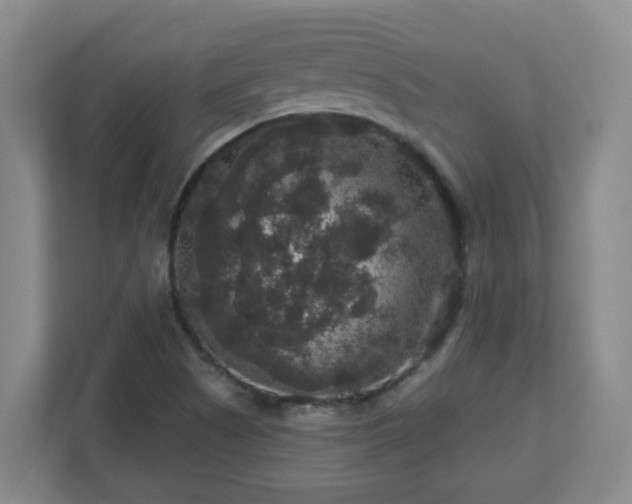 X0000111161505200907071118