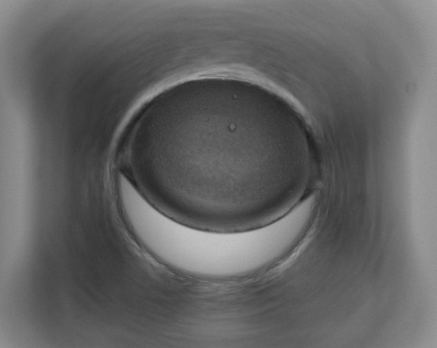 X0000111161506200907071118