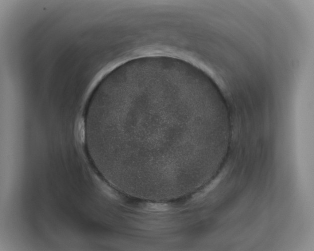 X0000111161509200907071118