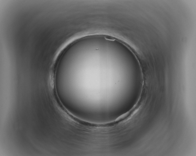 X0000111161510200907071118