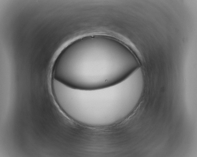 X0000111161512200907071118