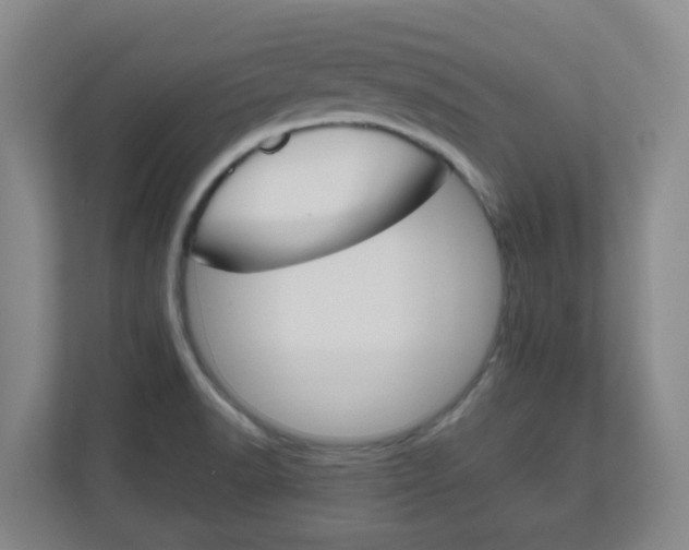 X0000111161518200907071119