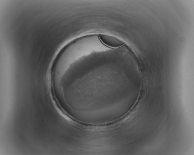 X0000111161519200907071119