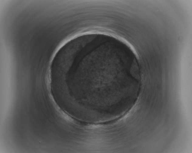 X0000111161522200907071119