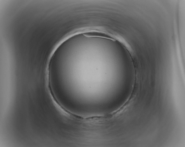 X0000111161524200907071119
