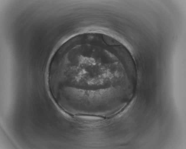 X0000111161525200907071119