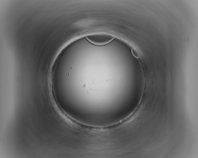 X0000111161526200907071119
