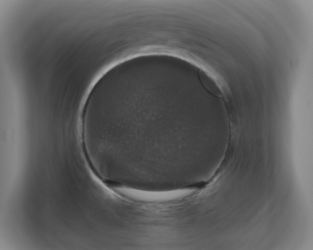 X0000111161527200907071119