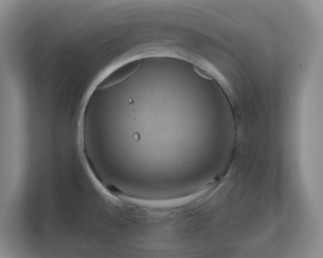 X0000111161528200907071119