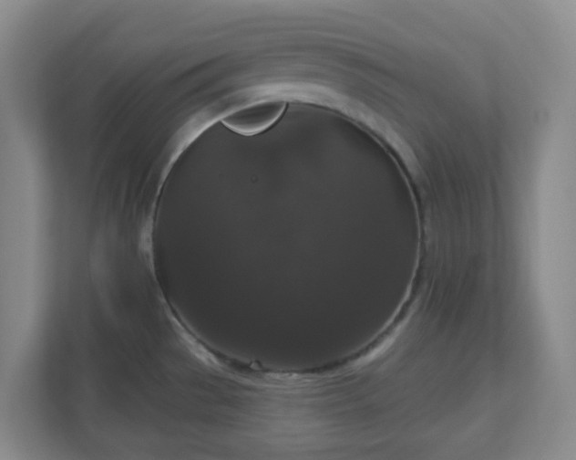 X0000111161529200907071119