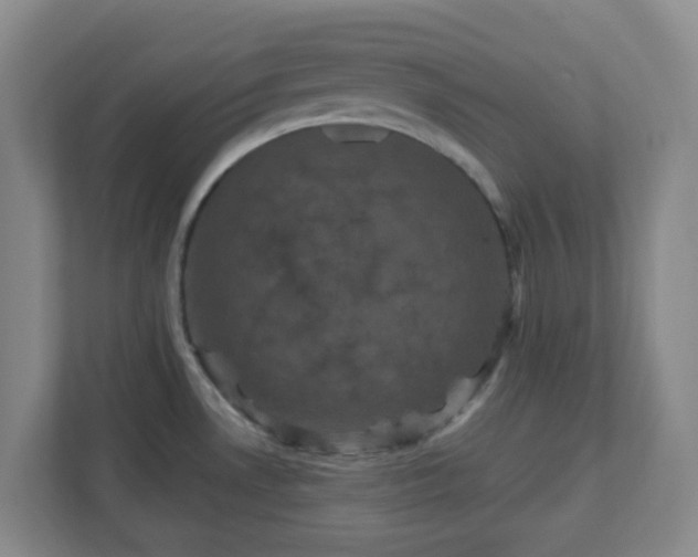 X0000111161530200907071119