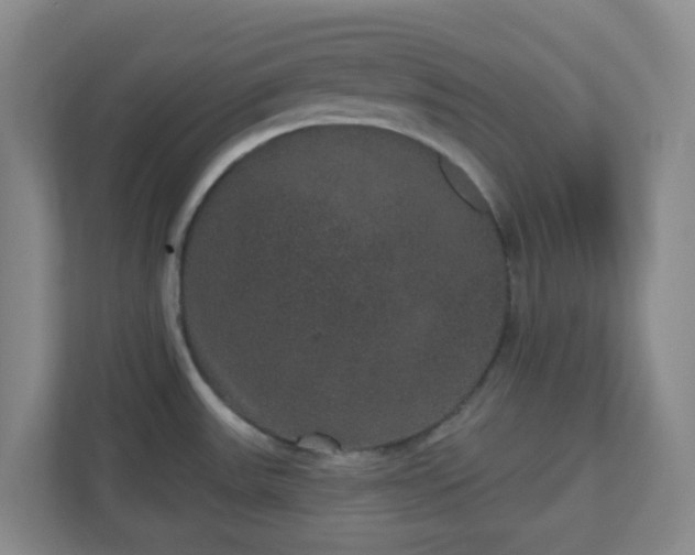 X0000111161531200907071119