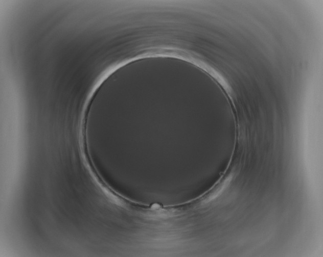 X0000111161533200907071119