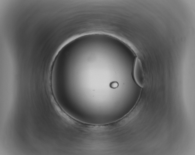 X0000111161534200907071119