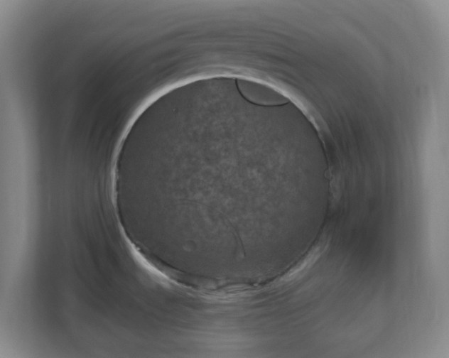X0000111161535200907071119
