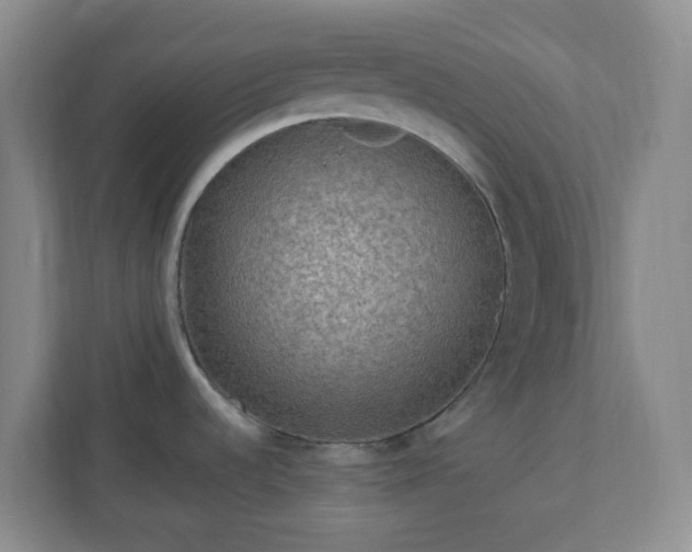 X0000111161536200907071119