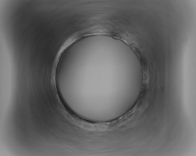 X0000111160004200907141411