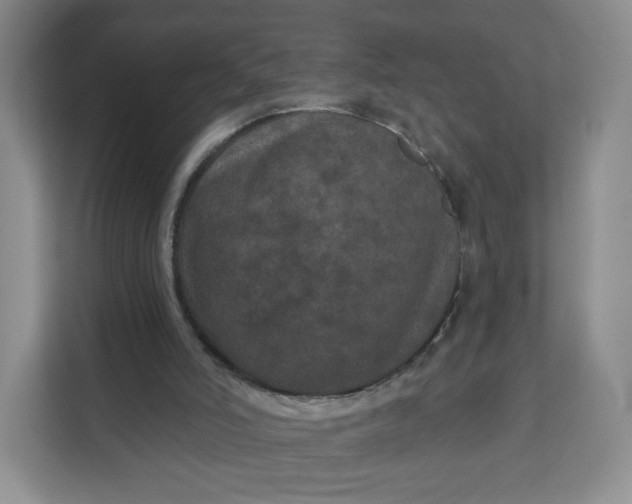 X0000111160006200907141411