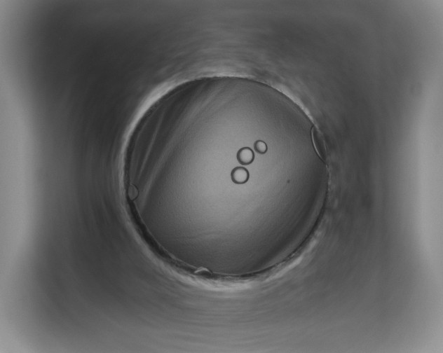 X0000111160008200907141411