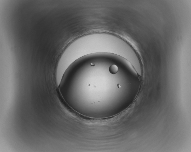 X0000111160009200907141411