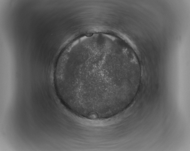 X0000111160010200907141411