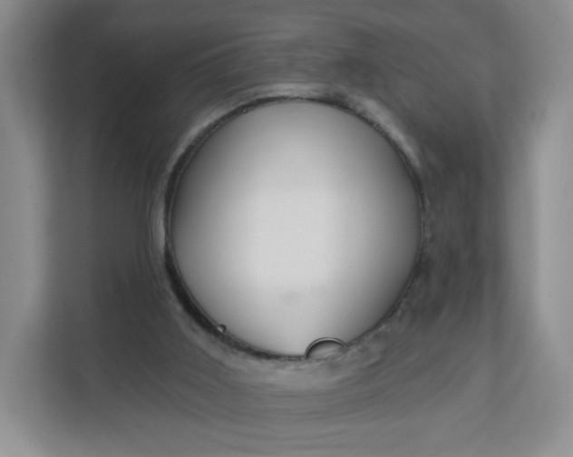 X0000111160011200907141411