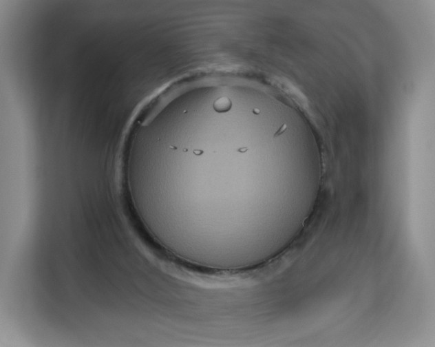 X0000111160012200907141411