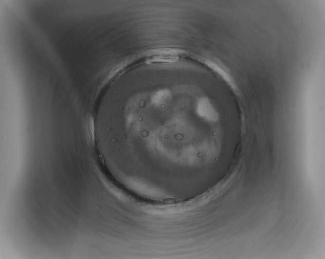 X0000111160013200907141411