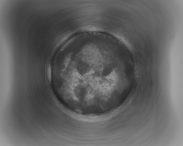 X0000111160014200907141411