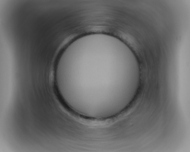 X0000111160016200907141411