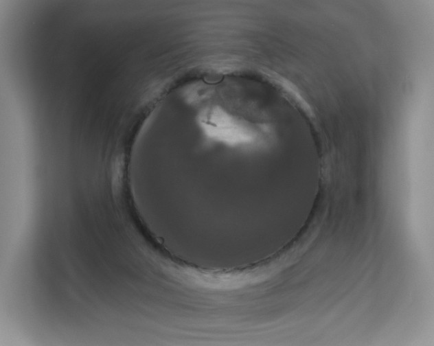 X0000111160018200907141411