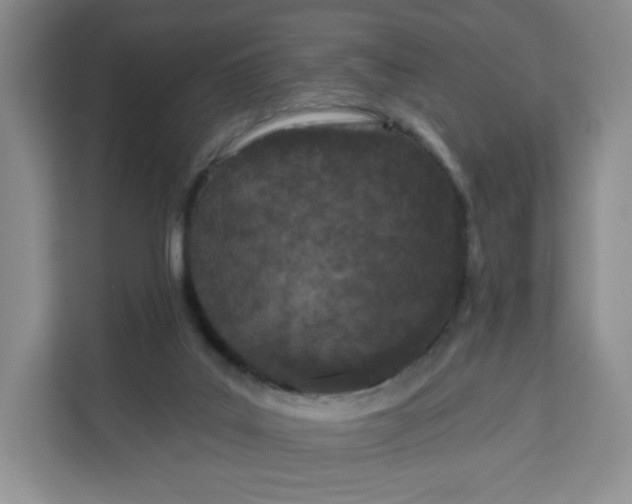 X0000111160019200907141411