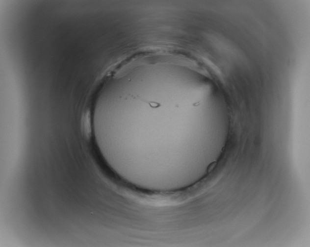 X0000111160020200907141411