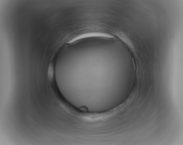 X0000111160021200907141411