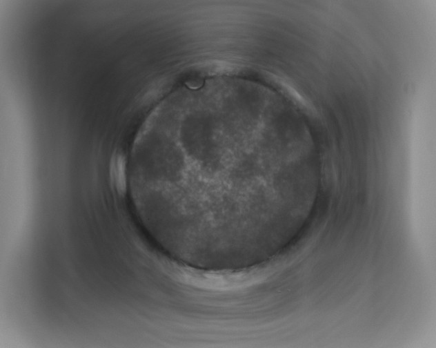 X0000111160022200907141411