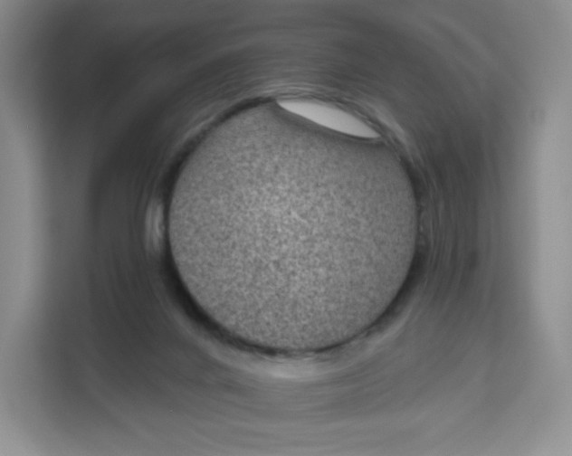 X0000111160024200907141411