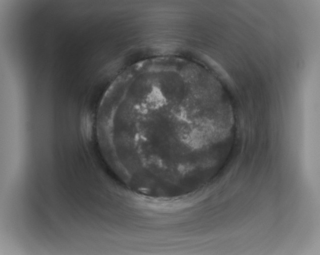 X0000111160026200907141411