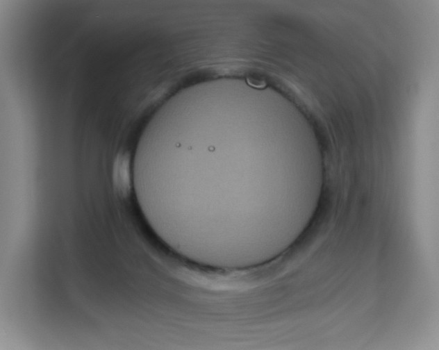 X0000111160028200907141411