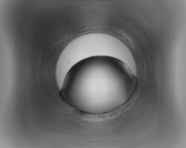 X0000111160029200907141411