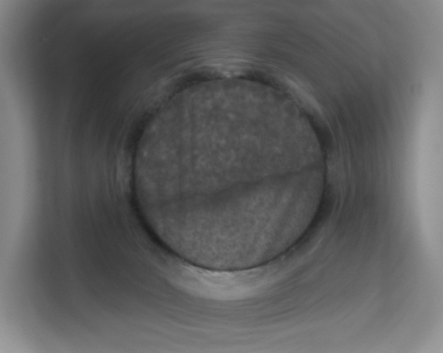 X0000111160030200907141411