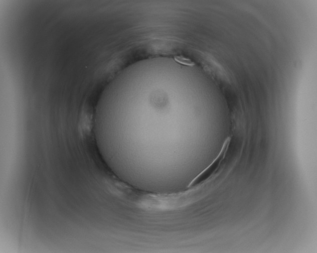 X0000111160033200907141411