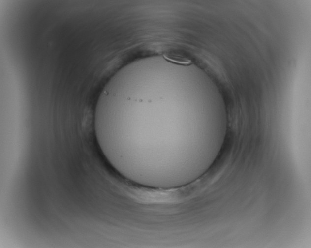 X0000111160036200907141411