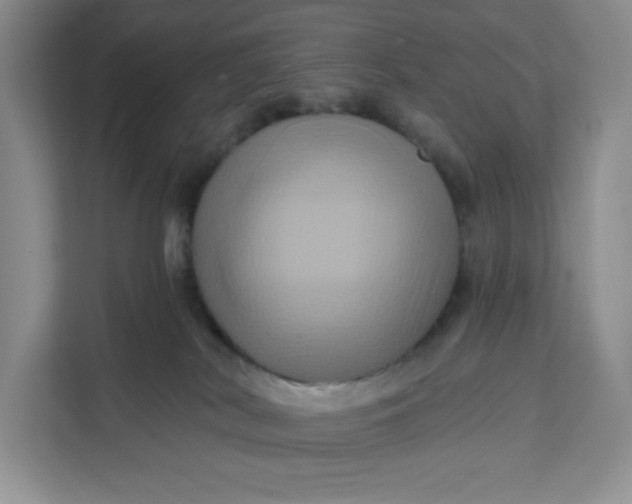 X0000111160038200907141411