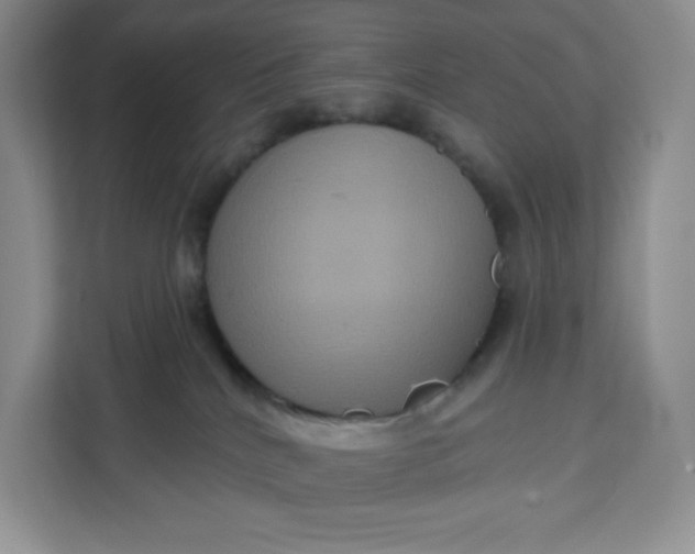 X0000111160040200907141411