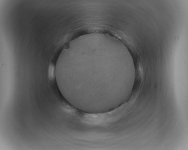 X0000111160041200907141411